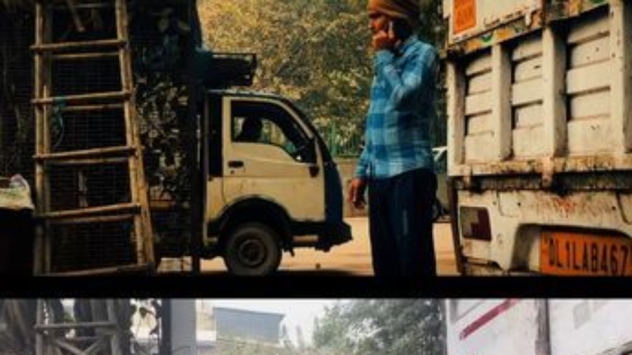 CapCut iPhone Editing Guide